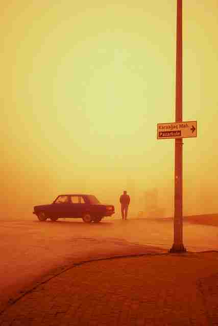 亲临现场！每日大赛国内夺冠热门必看锦囊