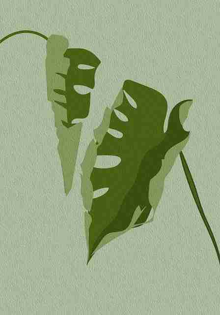 焦点透视 — 91在线、91网、91大事件——精炼实战手册