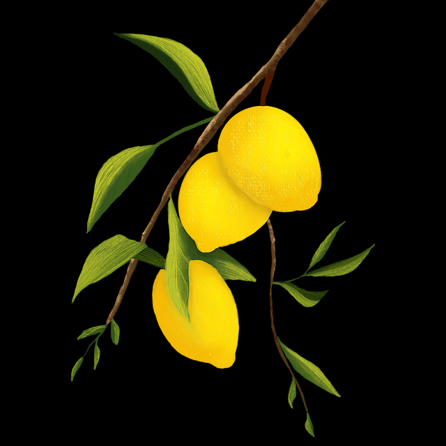 粉丝必藏：汤头条粉丝狂欢权威解读